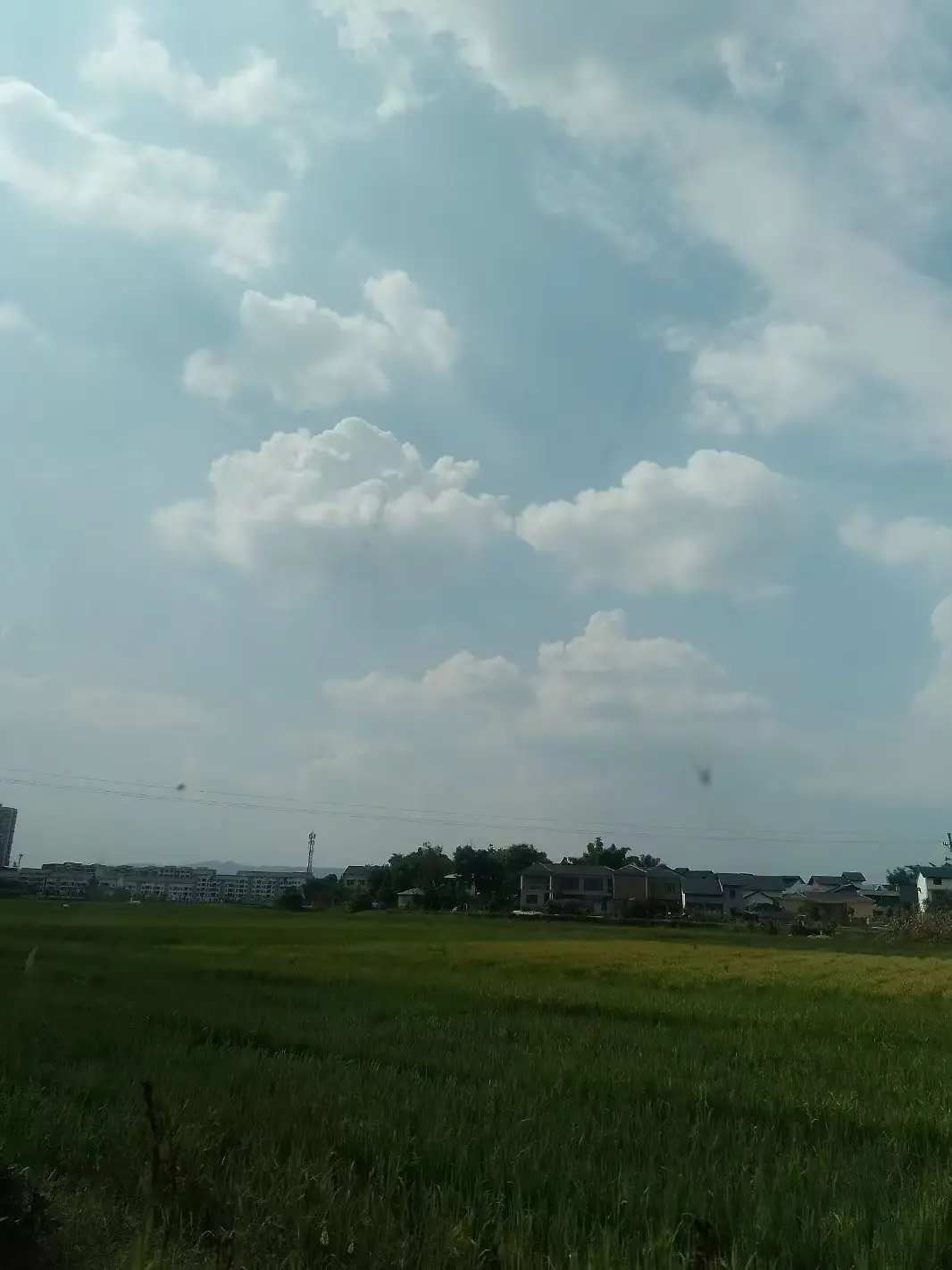 微信图片_202409101726161