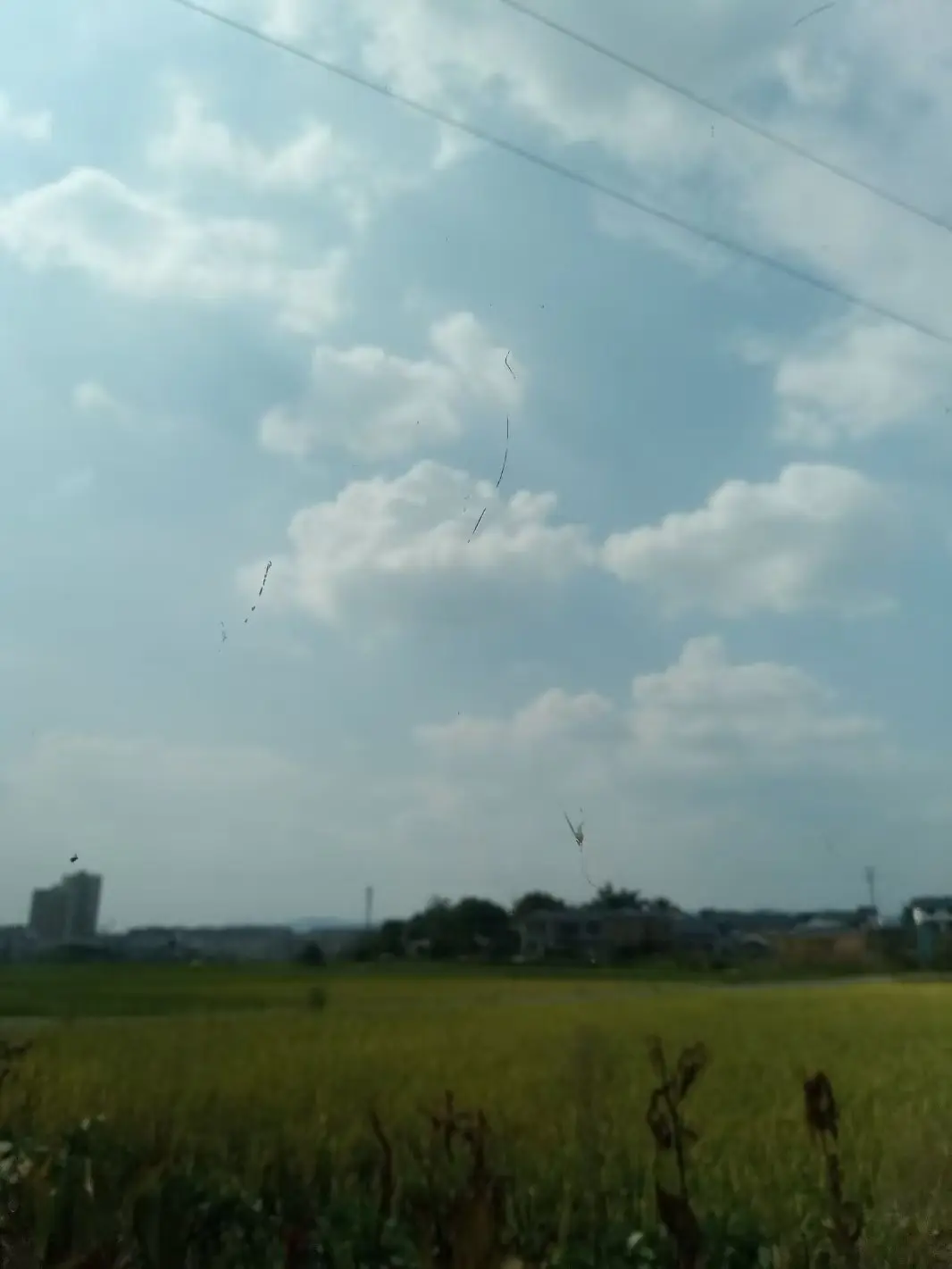 微信图片_202409101726162